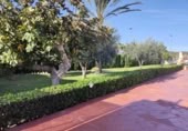Xalet independent amb terreny en venda a la España, Albalat dels Tarongers, ref.: TR352752 foto