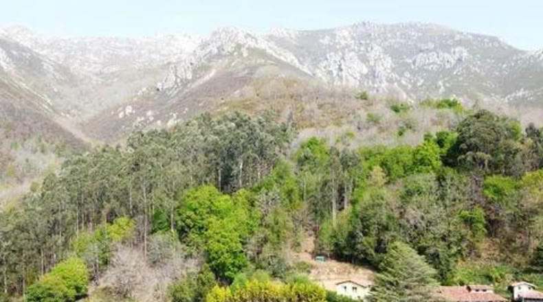 Asturias - Llames - 2500m2
