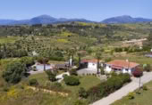 Chalet independiente con terreno en venta en la España, Pizarra, ref: TR408763 foto