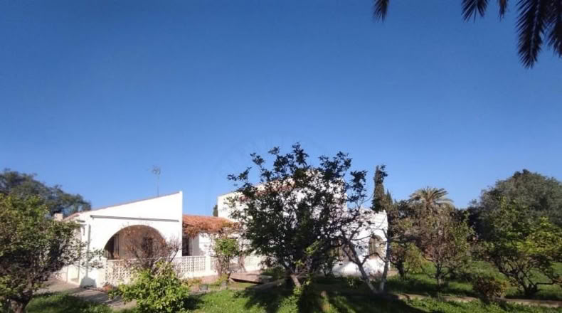 Alicante - Torrevieja - 1032m2