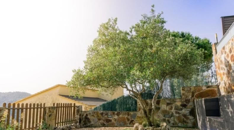 Barcelona - Sant Cebrià de Vallalta - 750m2