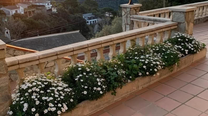 Barcelona - Sant Cebrià de Vallalta - 750m2