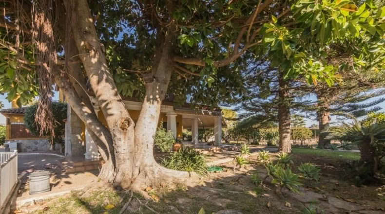 Аликанте - Las Bayas - 4000m2