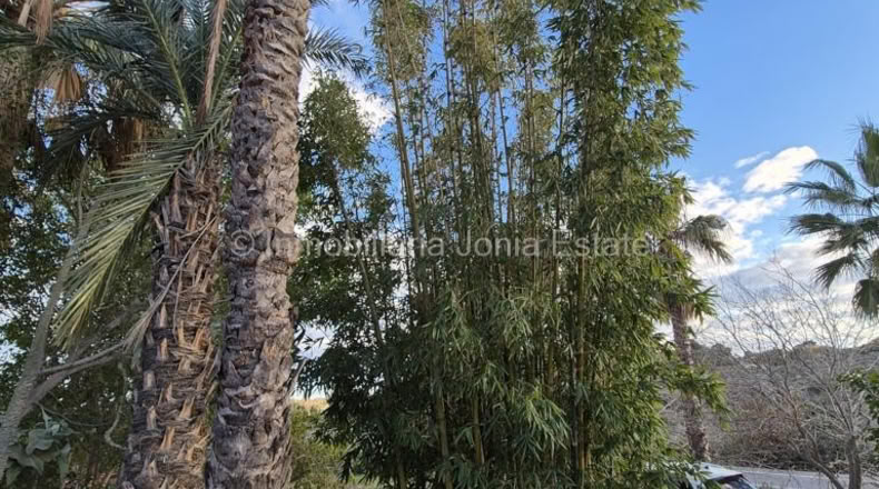 Аликанте - La Nucia - 9000m2