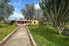 Algaida 10536&nbsp;m² 