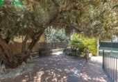 Detached villa with land for sale on España, Villa de Otura, ref: TR399565 photo