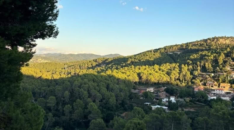 Barcelona - Corbera de Llobregat - 800m2