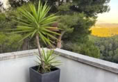 Chalet independiente con terreno en venta en la España, Corbera de Llobregat, ref: TR341695 foto