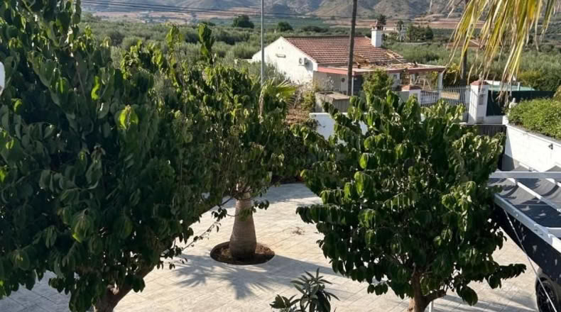 Málaga - Alhaurín de la Torre - 4575m2