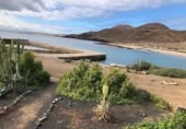 Xalet independent amb terreny en venda a la España, Teguise, ref.: TR160033 foto