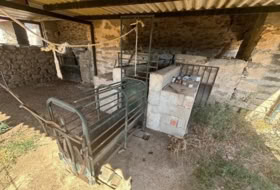 Foto 14