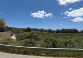 Terreny no urbanitzable en venda a San Roque ref.: TR410116 foto