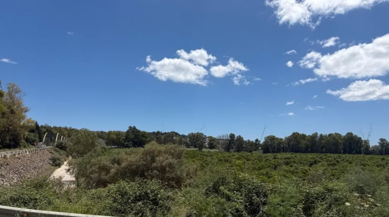 Cádiz - San Roque - 59450m2