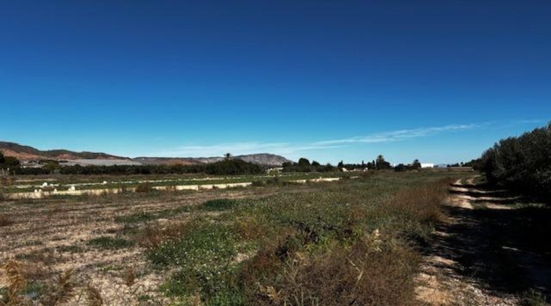 Murcia - Totana - 11200m2