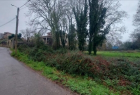 Tomiño 2378&nbsp;m²