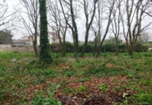 Terreno no urbanizable en venta en la España, Tomiño, ref: TR410061 foto