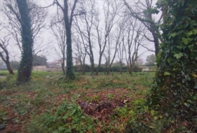 Tomiño 2378&nbsp;m²