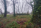 Terreno no urbanizable en venta en la España, Tomiño, ref: TR410061 foto