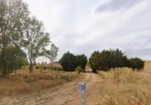 Non-developable land for sale on España, Izagre, ref: TR410076 photo
