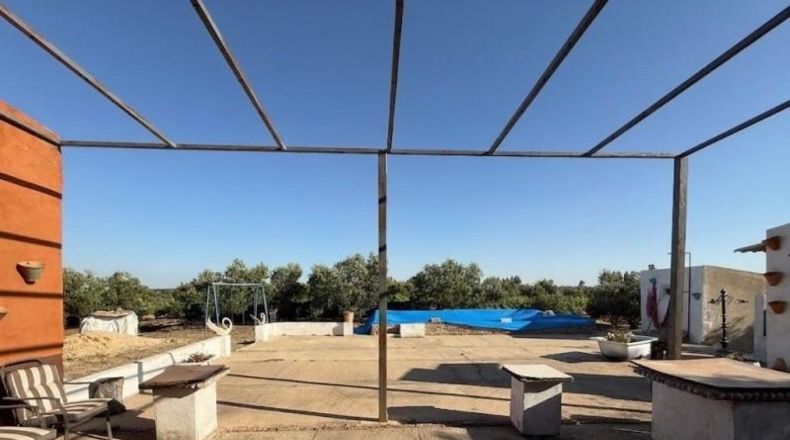 Huelva - La Palma del Condado - 21185m2