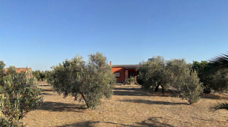 Huelva - La Palma del Condado - 21185m2