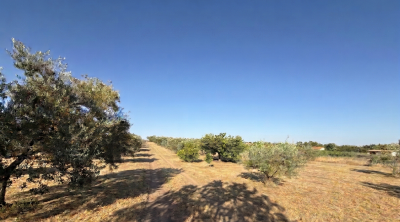 Huelva - La Palma del Condado - 21185m2