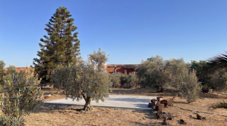 Huelva - La Palma del Condado - 21185m2