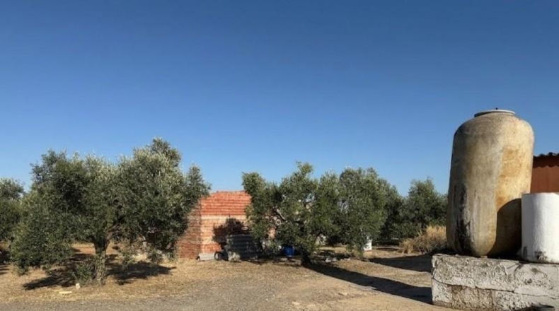 Huelva - La Palma del Condado - 21185m2
