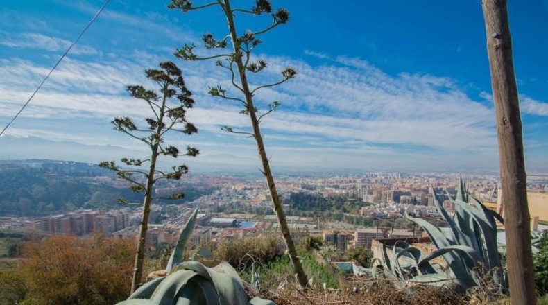 Granada - Granada - 1668m2
