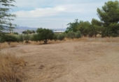 Non-developable land for sale on España, Los Llanos, ref: TR401690 photo