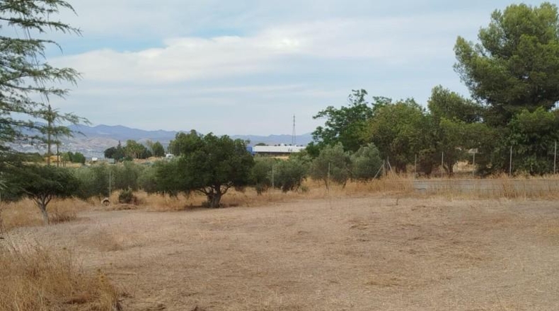 Granada - Los Llanos - 13565m2