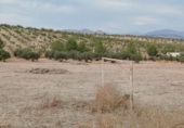 Non-developable land for sale on España, Los Llanos, ref: TR401690 photo