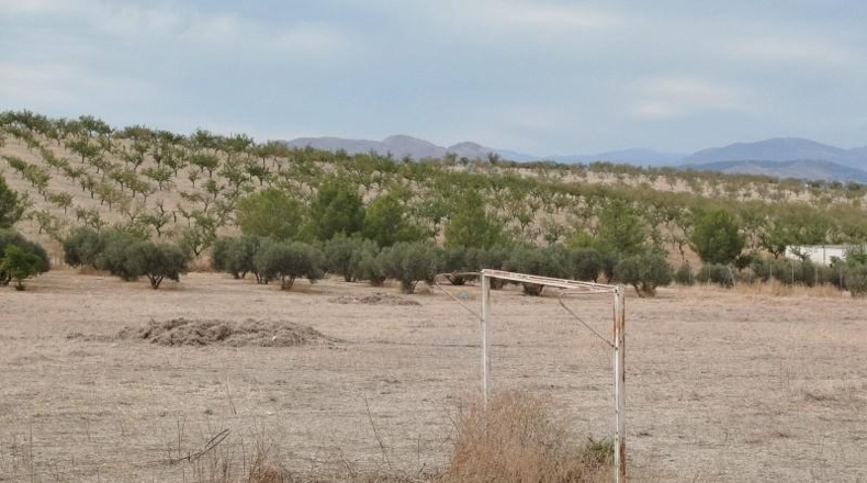 Granada - Los Llanos - 13565m2