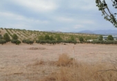 Non-developable land for sale on España, Los Llanos, ref: TR401690 photo