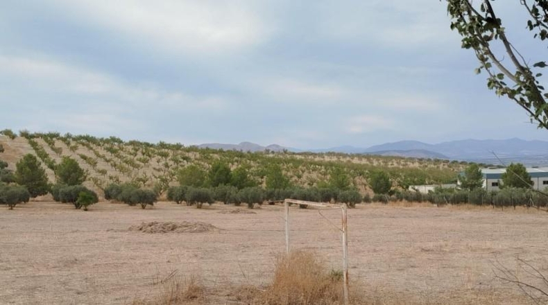 Granada - Los Llanos - 13565m2