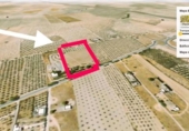 Non-developable land for sale on España, Los Llanos, ref: TR401690 photo