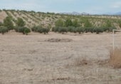 Non-developable land for sale on España, Los Llanos, ref: TR401690 photo
