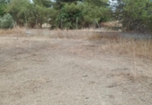 Non-developable land for sale on España, Los Llanos, ref: TR401690 photo