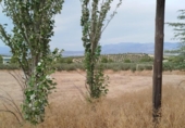 Non-developable land for sale on España, Los Llanos, ref: TR401690 photo