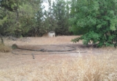 Non-developable land for sale on España, Los Llanos, ref: TR401690 photo
