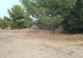 Non-developable land for sale on España, Los Llanos, ref: TR401690 photo