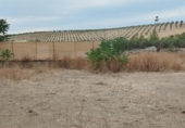Non-developable land for sale on España, Los Llanos, ref: TR401690 photo