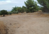 Non-developable land for sale on España, Los Llanos, ref: TR401690 photo