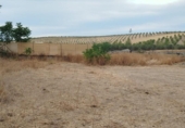 Non-developable land for sale on España, Los Llanos, ref: TR401690 photo