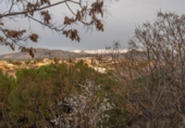Finca rústica en venda a la España, Gójar, ref.: TR410091 foto