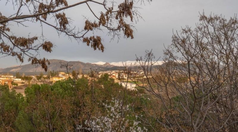 Granada - Gójar - 2140m2