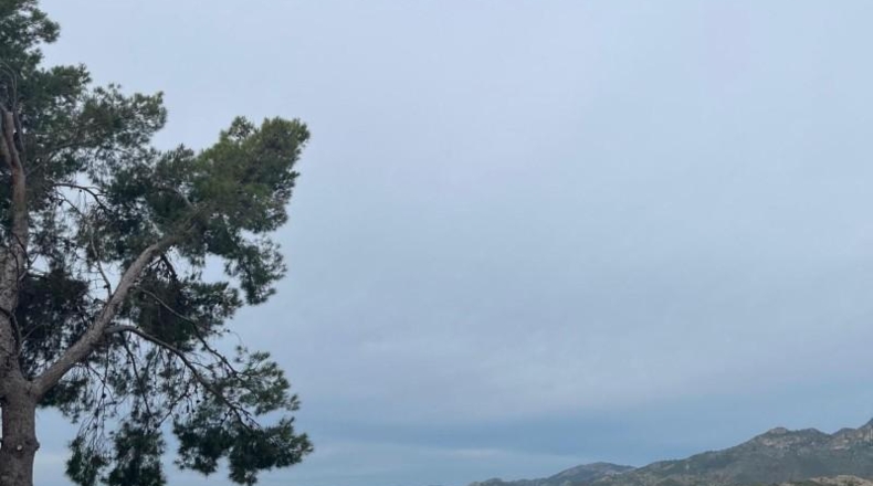 Castellón - Orpesa - 802m2