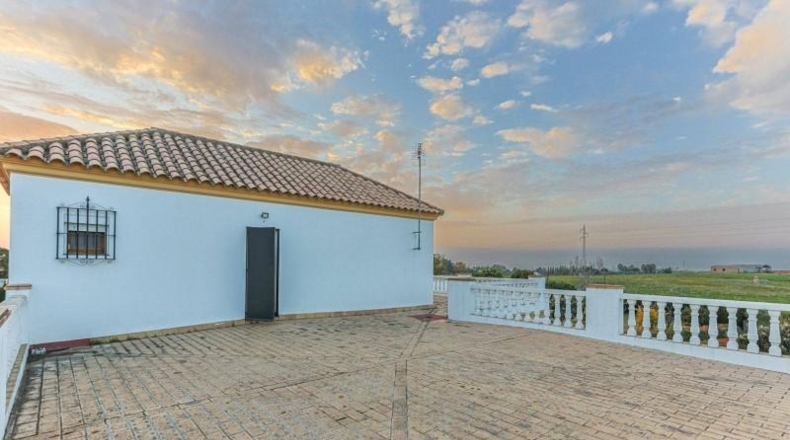Sevilla - Sanlúcar la Mayor - 5000m2