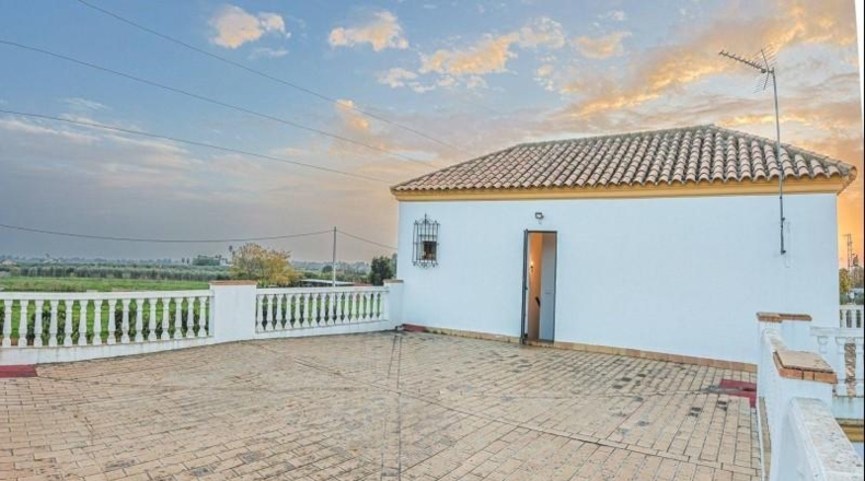 Sevilla - Sanlúcar la Mayor - 5000m2