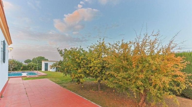 Sevilla - Sanlúcar la Mayor - 5000m2